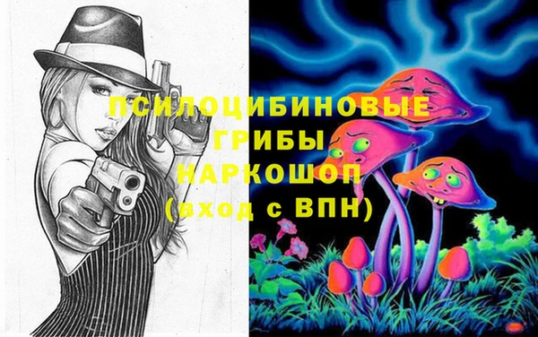 соль ск Михайлов