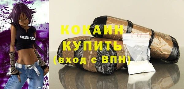 соль ск Михайлов