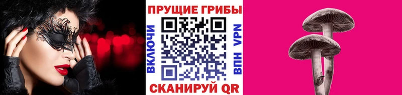 Псилоцибиновые грибы мицелий Кушва