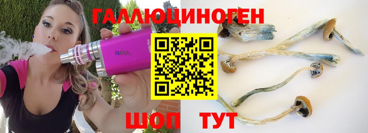 ГАШИШ Кушва