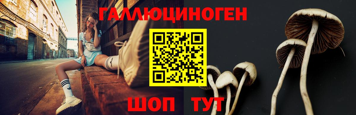 Псилоцибиновые грибы ЛСД Кушва
